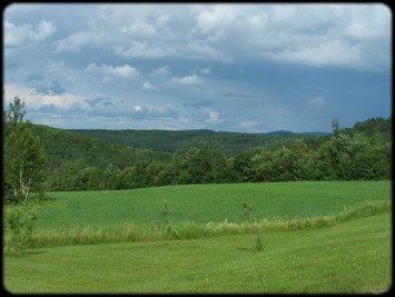 Paysage